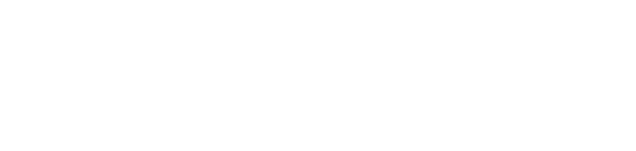 AER logo